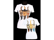 ,�������� �������. ����  650 ���.png