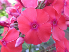 ���������.