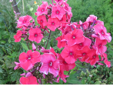 ������ �������.