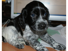 ����� �� �����.JPG