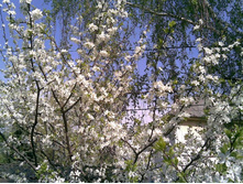 06052010.jpg