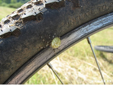 ���� ��� �� ����.