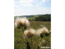 ���������!