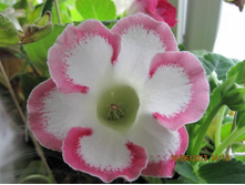 ����������