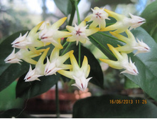 ���� �����������