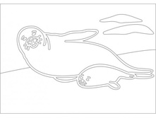 �5_�����