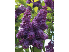 ���� ����.jpg