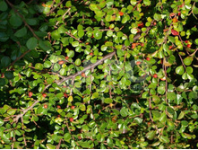 ��������� ��������������.png