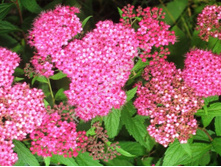 ������ �������� ������ �������.png