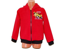 ���������(����� ���������) ��12/3 �������/����