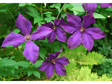 �������� ����� ������.png