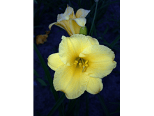 �������� ������ � \\\\\\\' ���.png