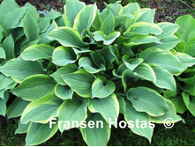 ����� Regal Splendor.png