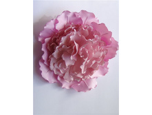 ���� ������.jpg