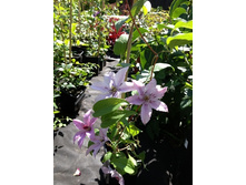 �������� ����� ������.jpg