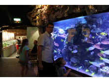 �����-��������