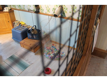 ���� ��� �� 5 ��� ����� � ����������.