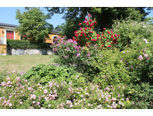 �������. �������