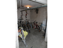 ��� ������ �������� ���� �����������-���������� � ���������