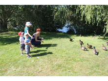 ����� ������� �������� - ����, ������ ����