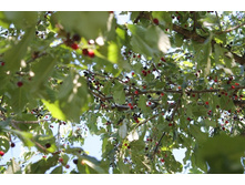 ����� � ������. � �� ����, �� ��������.