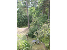 ��� �� ����