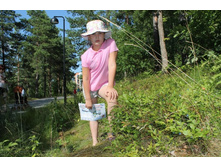 ������� � ����� ������, ���������