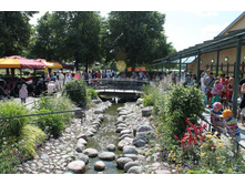 ������� � ���������