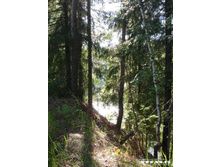 ����� ������, \"���� � �������� ����\"