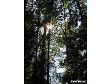 ������ � ������