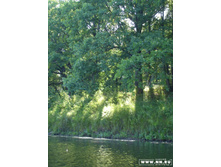 ���� � ����