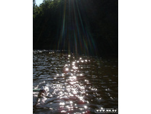 ������� ����