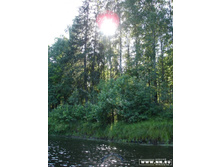 ���� ������ ���������...