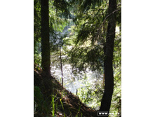 �������� ��������