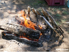 ����� �� ������