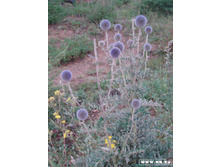 ��������� ������