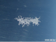 ������ ����