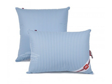 ��������� Classi-��������.jpg