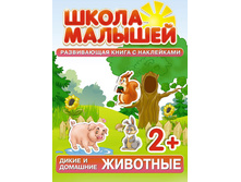 ����� �������. ����� � �������� �������� 2+  104 ���.