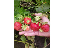 2013-06-24 08.34.15.jpg