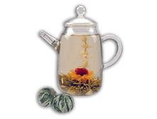 ������ ���������� � ��������.jpg