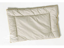 ������� �����������.jpg