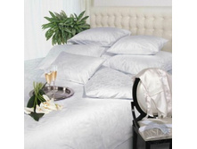 Ladies favorite (������ �������).jpg