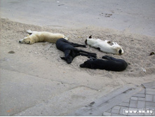 �� �����...