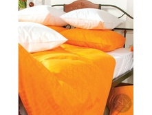 Passion fruit (���� ����).jpg