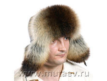 ������� ������ ����� ���� 26, 3500 ���..jpg