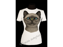 ,��������  � ��� ����?. ���� 560 ��� 