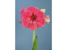 ������� 253�.JPG