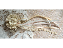 ������� ����2.jpg