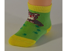 ������� ������� 13�11 - 26 ���